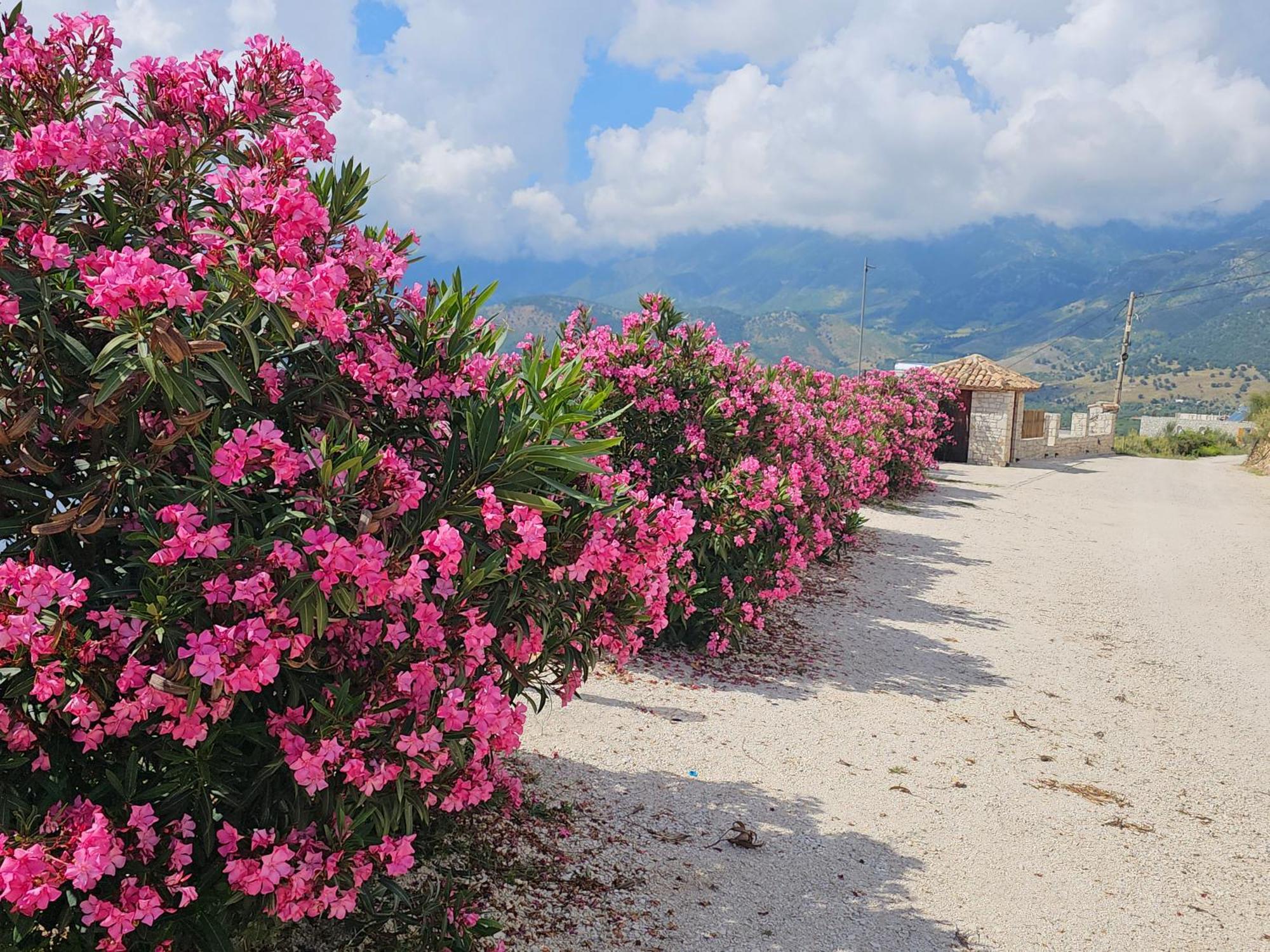 Apartment Argileos Himare